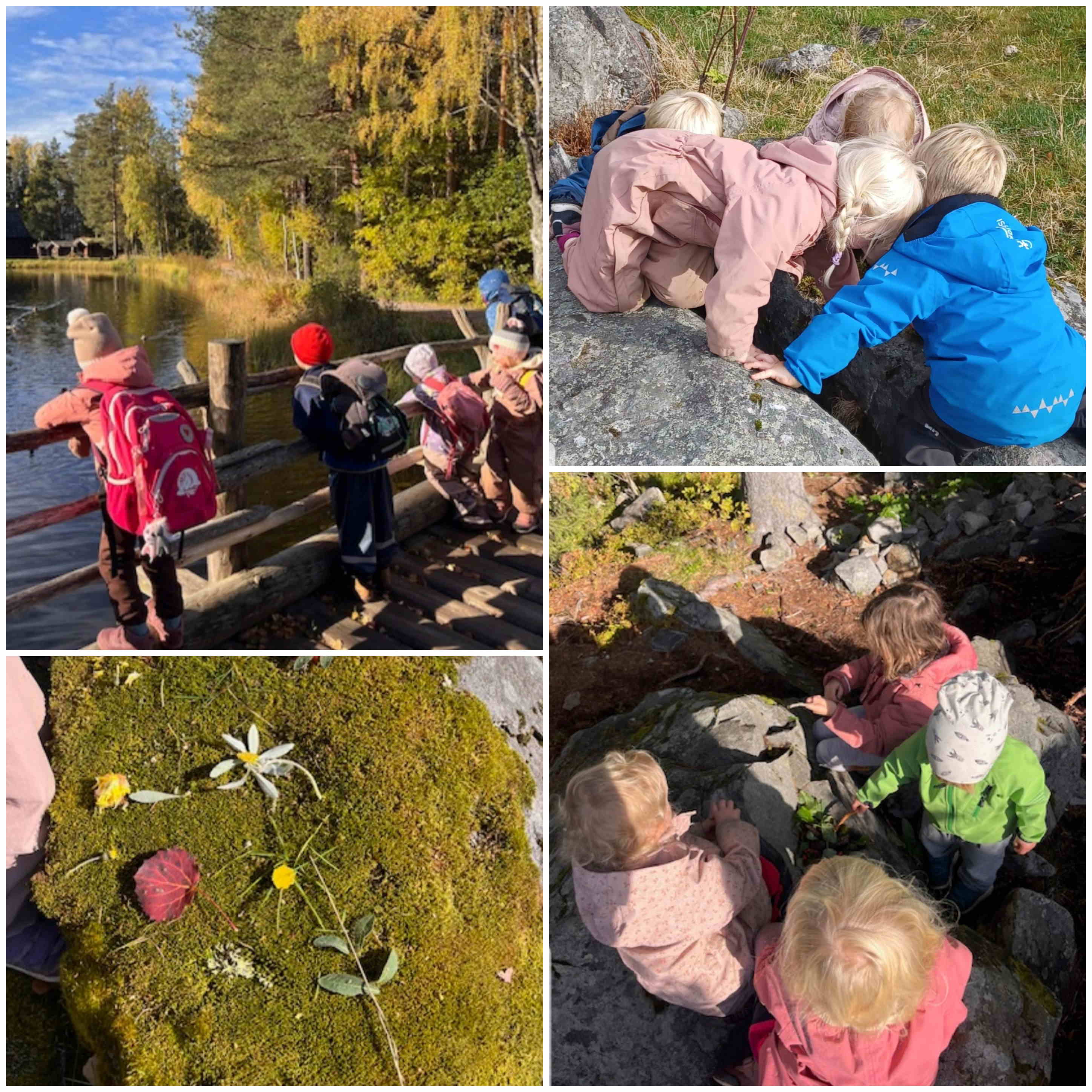 hjemmeside oktober 2024 1